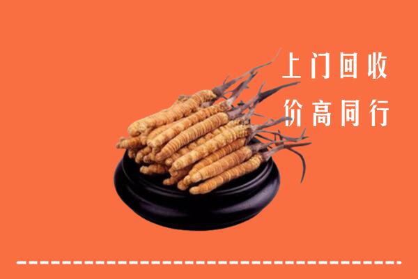 高价求购：东胜区回收散虫草