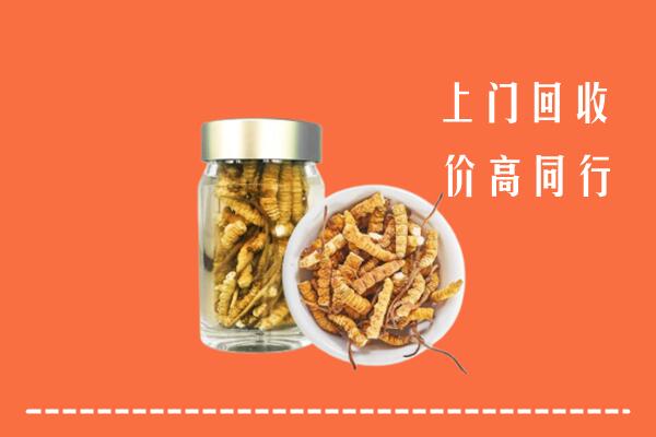 东胜区回收冬虫夏草